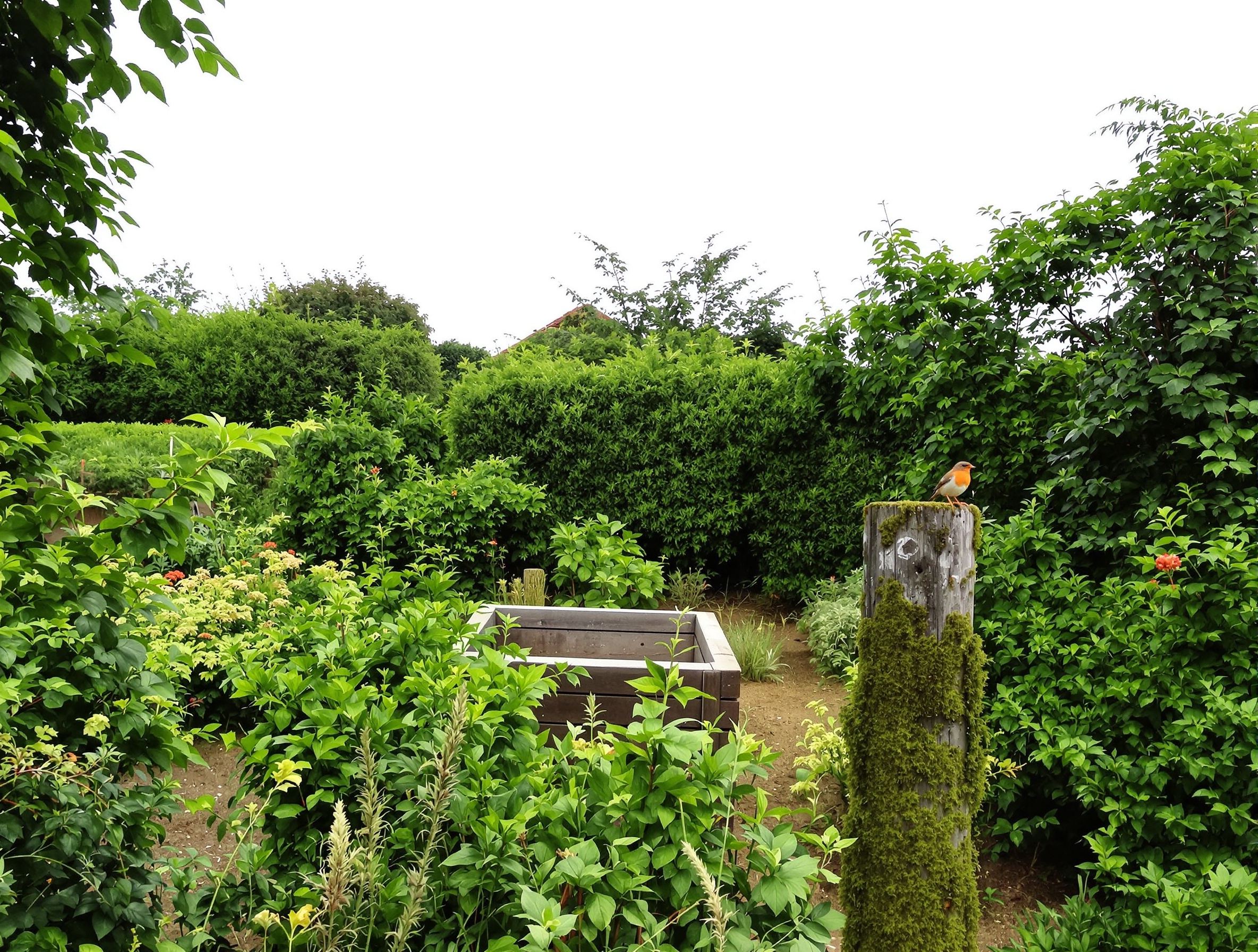 Jardin naturel breton idéal pour accueillir un rouge-gorge