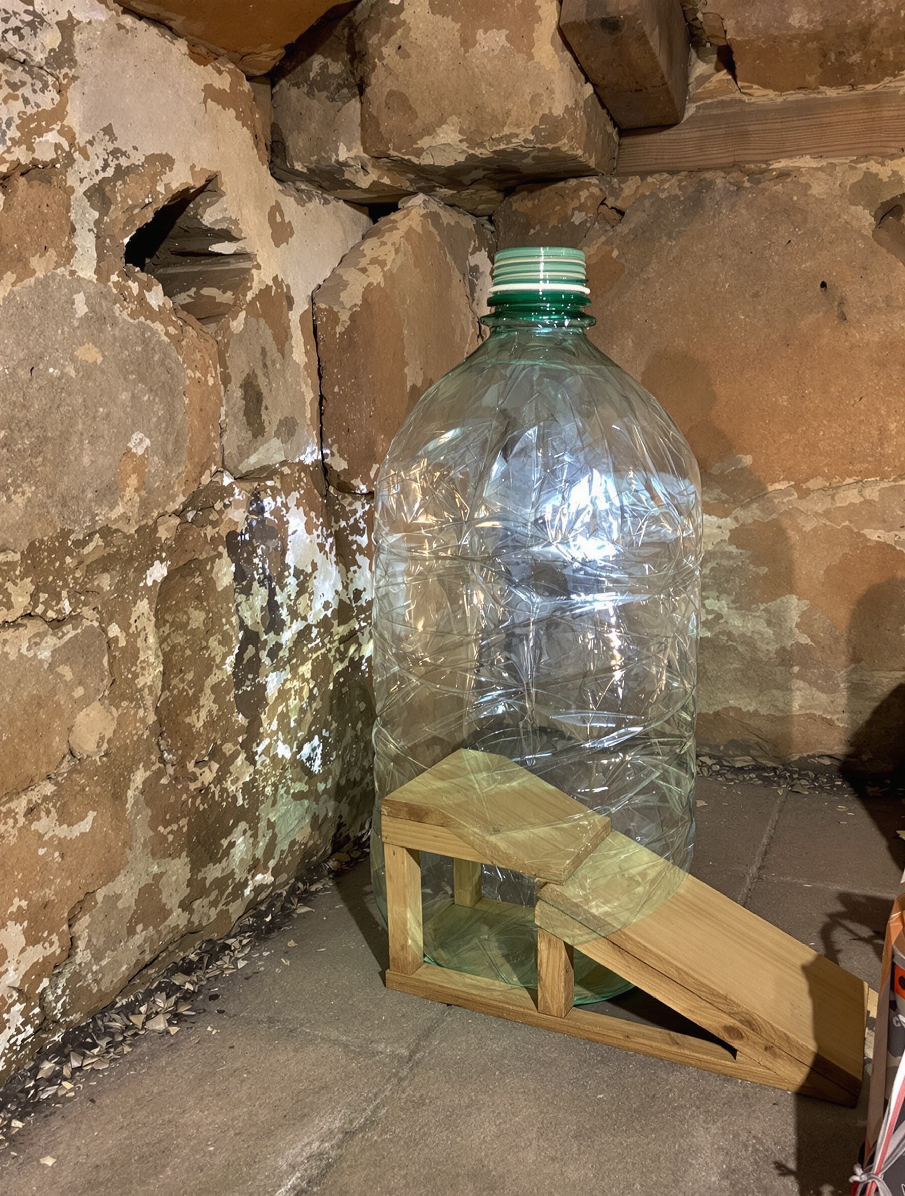 piège à rat artisanal fabriqué avec une grande bouteille plastique contre mur dans cave rustique