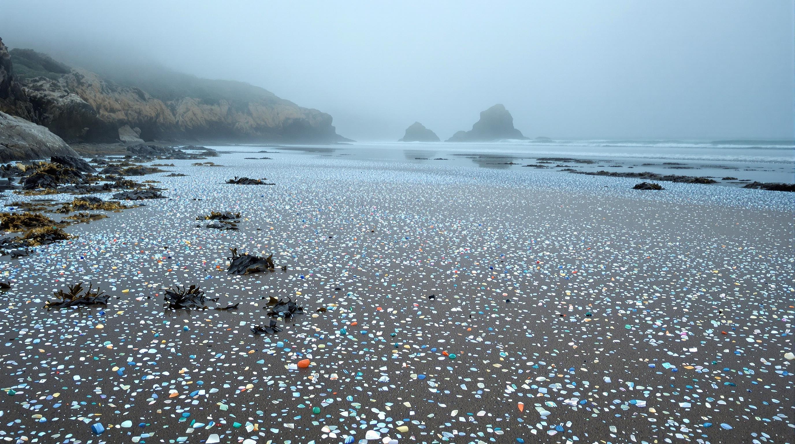 Plage bretonne recouverte de paillettes plastiques sous une brume écologique.