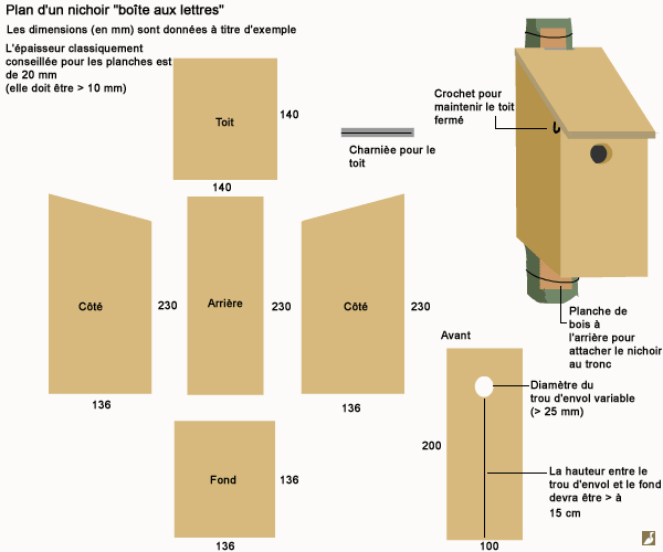 Schéma simple du plan de fabrication d'un nichoir à mésange boîte aux lettres avec dimensions
